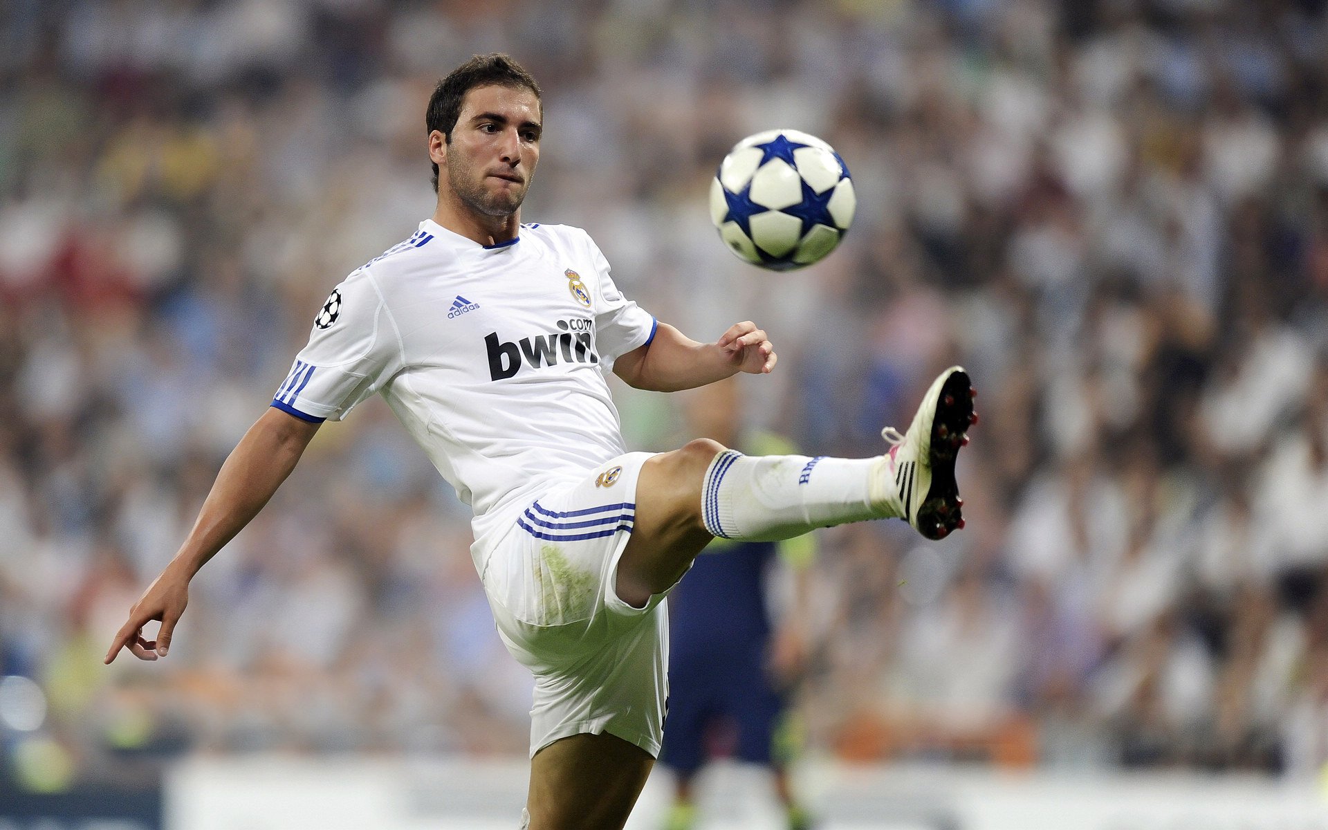 国家队欧国联冲劲十足，谋求欧锦赛夺冠机会，欧国联比赛集锦